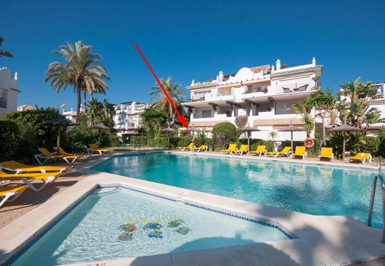 Apartamento en San Pedro de Alcántara - 34 - Large beachfront garden apartment