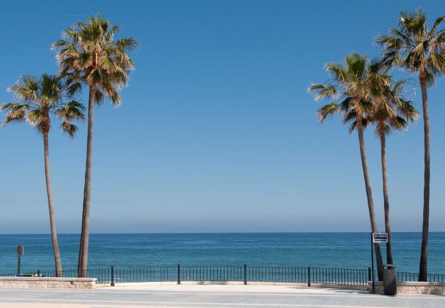 Apartment in San Pedro de Alcántara - 17 - Modern front line beach apartment Las Adelfas